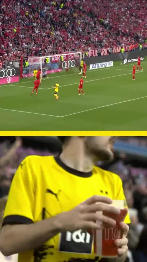 勇者無懼！這是真多特球迷！在拜仁球迷區一個人肆意慶祝！